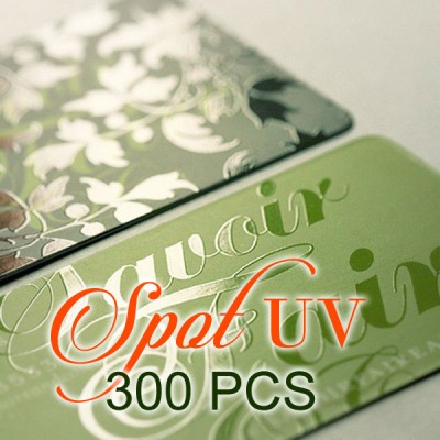 300 PCS Spot UV Business Card